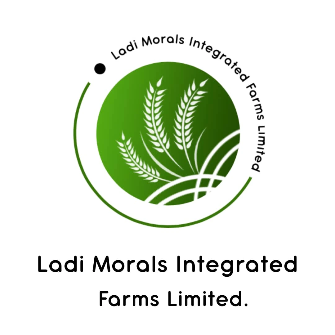 Global Reach Logistics