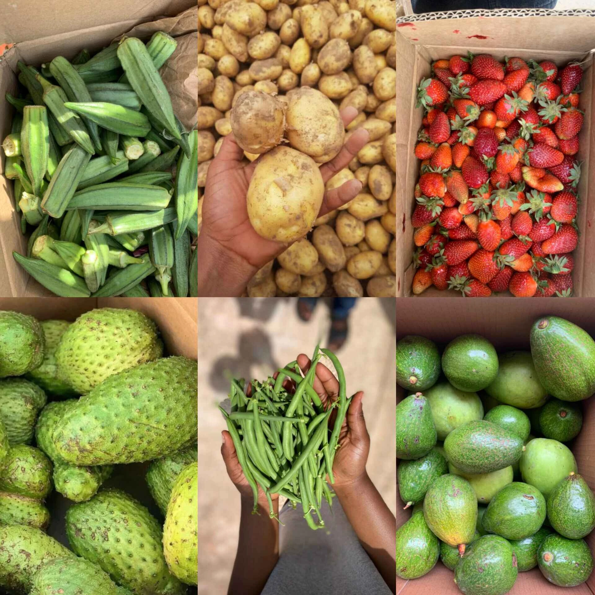 Tulip Nexus Farm Partnership